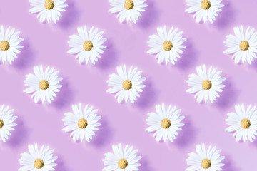 White daisy flower, arranged in repetitive pattern, on top of purple background.