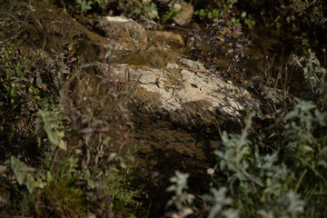 mountain landscape with river and camping