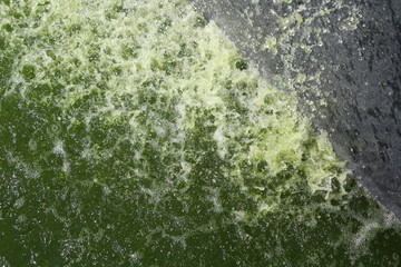 Spruzzi di acqua verde in una fontana