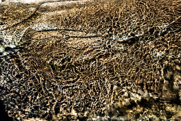 water texture