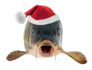 Christmas Fish Big Carp isolated