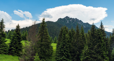 Velky Rosutec hill from Medzirozsutce saddle in Mala Fatra mountains in Slovakia