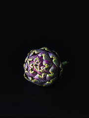 Fototapeta premium Raw artichoke in the darkness 