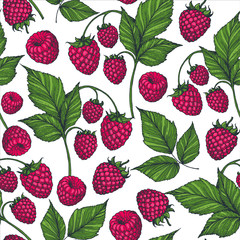 Seamless pattern with raspberries, raspberry leaves. Hand drawn background. Colorful raspberries illustration. Vector illustration.
