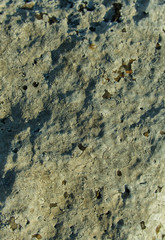 texture of the stone