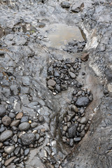 Wet Stones in a River Bed