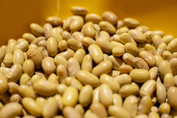 peruvian beans close up in a strainer