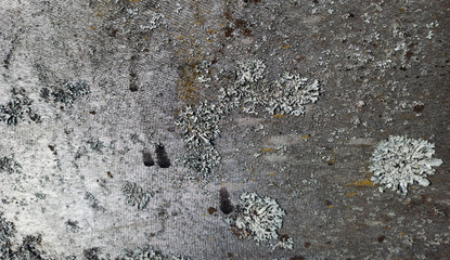 Photo texture for the interior in the loft style