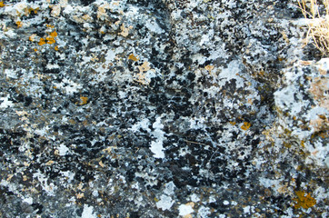 texture of stone