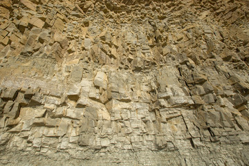 The wall of Panga cliff in Saaremaa- the highest bedrock outcrop in western Estonia