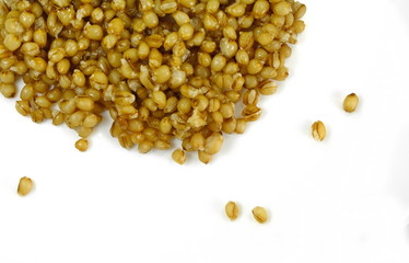 Cooked bulgur wheat isolated on white.