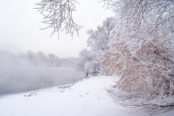 Hoarfrosty trees, Moscow region, Russia