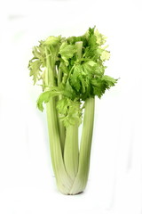 Celery isolated on white background. Fresh organic green celery.