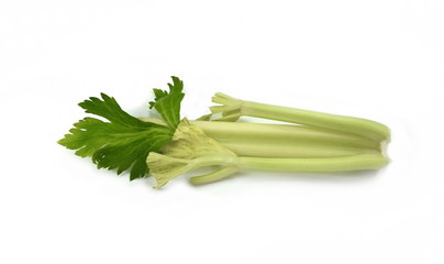 Celery isolated on white background. Fresh organic green celery.