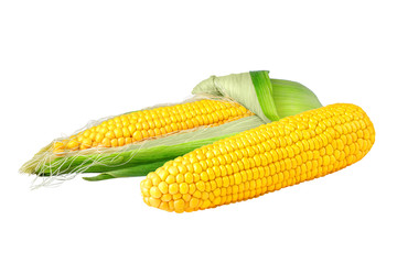 Perfect ear of corn isolated on white background. Ready for clipping path.