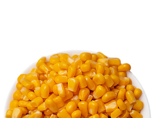 Yellow corns over white background.