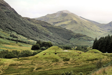 A view of Scotland near Fort William