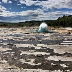 A view of a Geyser in Iceland