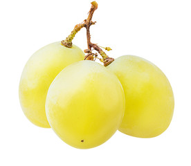 Fresh grapes isolated on white background with clipping pass