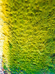 Abstract texture on the water surface of the pond, digitally worked in green and yellow colors. Abstract art, contemporary photo. Top view.