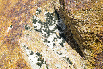 texture of stone