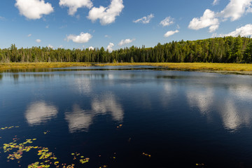 Fototapeta premium Lake landscape at Wolf Howl Pond in Algonquin Provincial Park