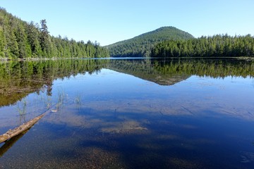 A beautiful fresh pristine lake surrounded by evergreen forest along the cape scott trail on the Northern tip of Vancouver island