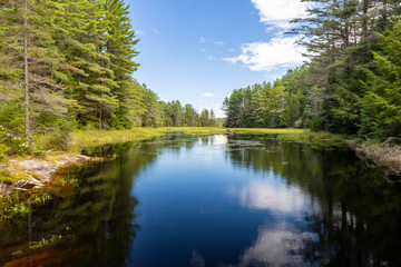 Mizzy Lake Trail lake landscape with cloud reflection in Algonquin Provincial Park