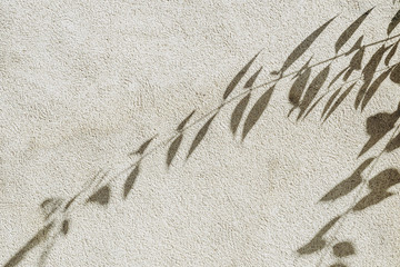 Arrière plan ombre de feuilles naturelles - Branche d'arbre abstraite sur fond texturé mur beige - Carte florale © PicsArt