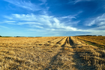 rural landscape with arable fields after the harvest