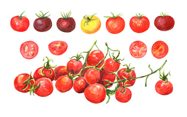 Tomatoes clipart on white background . Cherry, yellow, green, red tomatoes, tomato slice, basil, pepper.
 Stock illustration. Hand painted in watercolor.