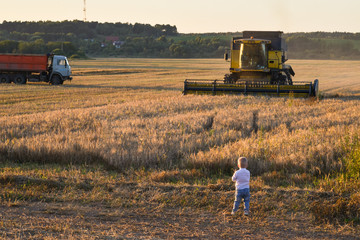 combine harvester working in a field and little boy looking at this harvesting