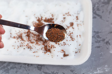 Micro green planting process. Woman's hand holding a spoon with alfalfa (lucerne) seeds and planting on cotton wool in a gray tray on a light gray background. Selective focus. Healthy food concept