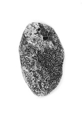 Volcanic stone isolated on white background.