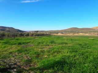 Fototapeta na wymiar pasture in the outskirts of oujda city in morocco