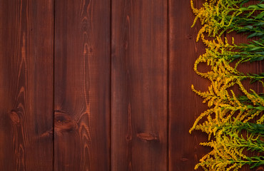 Beautiful flower and wood background in rustic (village) style. Brown boards with natural, pattern, wooden texture and decorative yellow orange goldenrods lay on it. Summer and autumn wallpaper.
