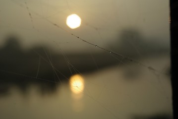 Morning sun rays. Sunset in the morning. 
morning fog. The first rays of the sun falling on the spider's web. Dew on a spider web in the morning. 
Drops of dew on a spider's web.