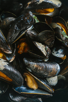Mussels background
