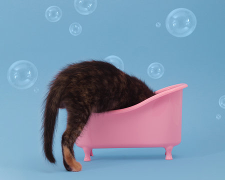 Bath time