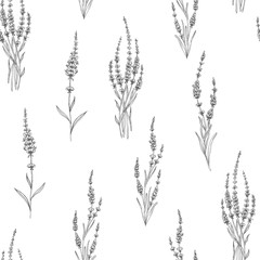 Lavender seamless pattern. Perfect for wallpapers, web page backgrounds, surface textures, textile.