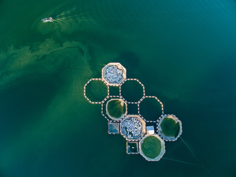 Fish farm, geometrical shapes, aerial view
