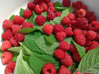 photo of raspberries and mint leaves. ingredients for mojito. Top view