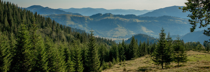 Panorama of Carpathian mountains in summer sunny day. Beauty world. Large resolution