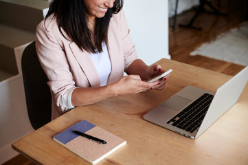 Female entrepreneur working from home