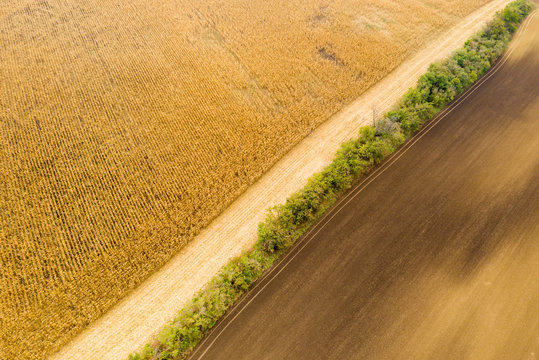 Autumn Scenic Landscape Of South Moravia In Czech Republic
