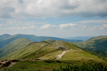 Carpathians mountain range at summer morning. Beauty of wild virgin Ukrainian nature. Peacefulness.