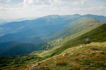 Carpathians mountain range at summer morning. Beauty of wild virgin Ukrainian nature. Peacefulness.