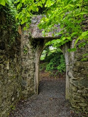 Obraz premium Arch in Ireland