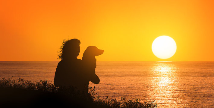 sitting girl observes the sunset hugging her dog