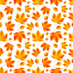 Seamless autumn pattern. Fallen leaves on white background, isolated
